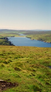 aux îles Shetland