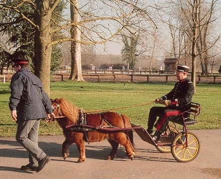 Directeur des Haras en ballade