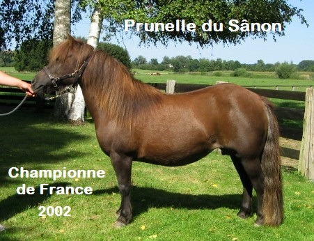 Prunelle Championne de France 2002